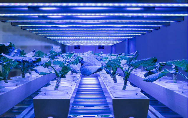 LED植物生長燈方案