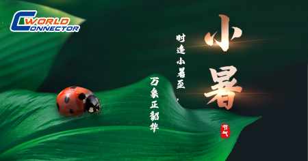 今日小暑|手握清風(fēng)，連接夏夢